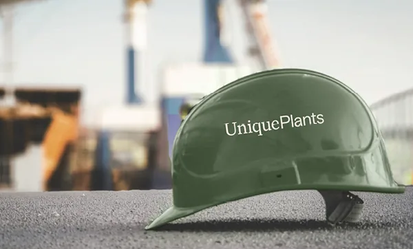 Unique Plants
